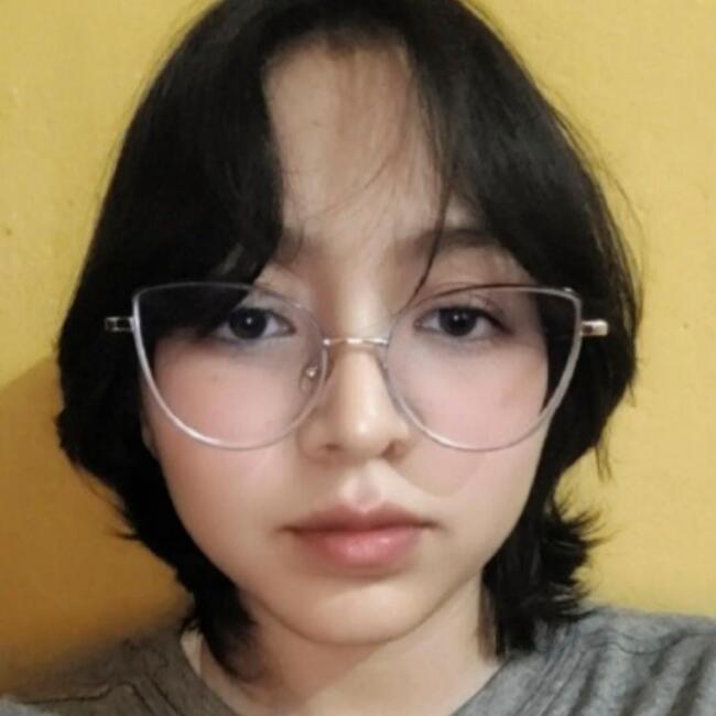 Babysitter in Santiago: Yeraldin