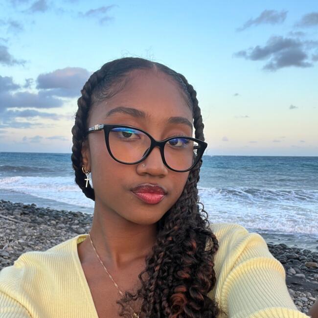 Babysitter in Rennes: Cohen