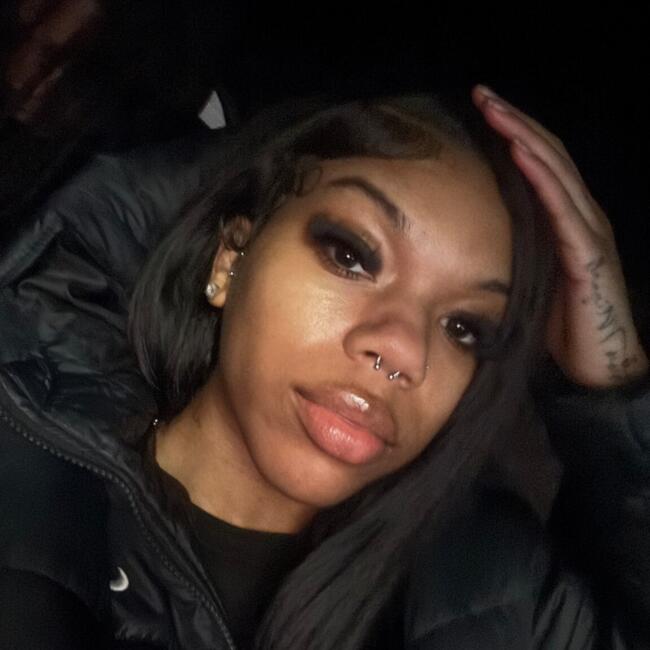 Babysitter in Matteson: Anila