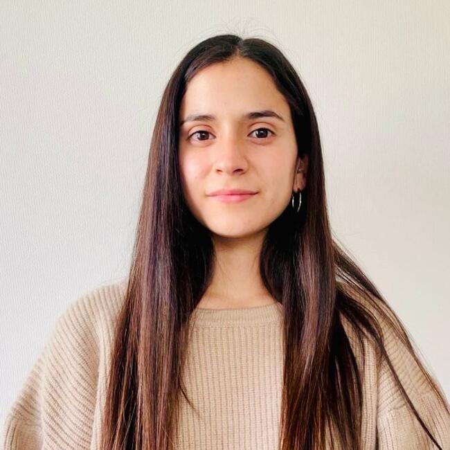 Niñera en Viña del Mar: Trinidad