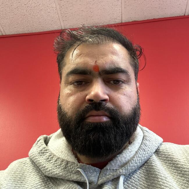 Babysitting job in Mississauga: Anil