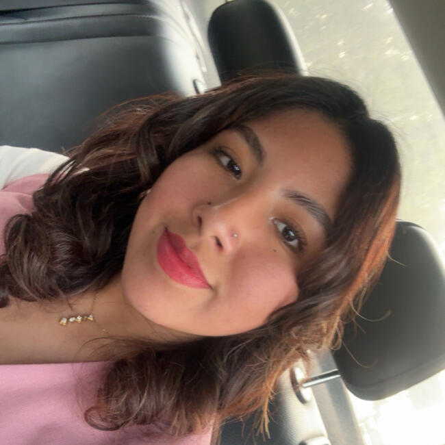 Babysitter in San Borja: Ariana