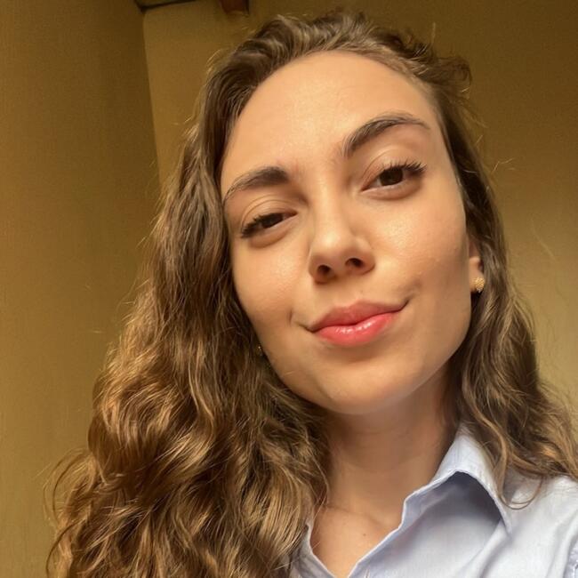 Babysitting job in Indaiatuba: Amanda