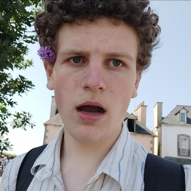 Babysitter in Lampaul-Plouarzel: Milan