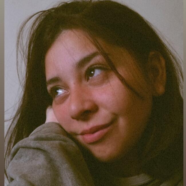 Niñera en San Nicolás de los Arroyos: Camila