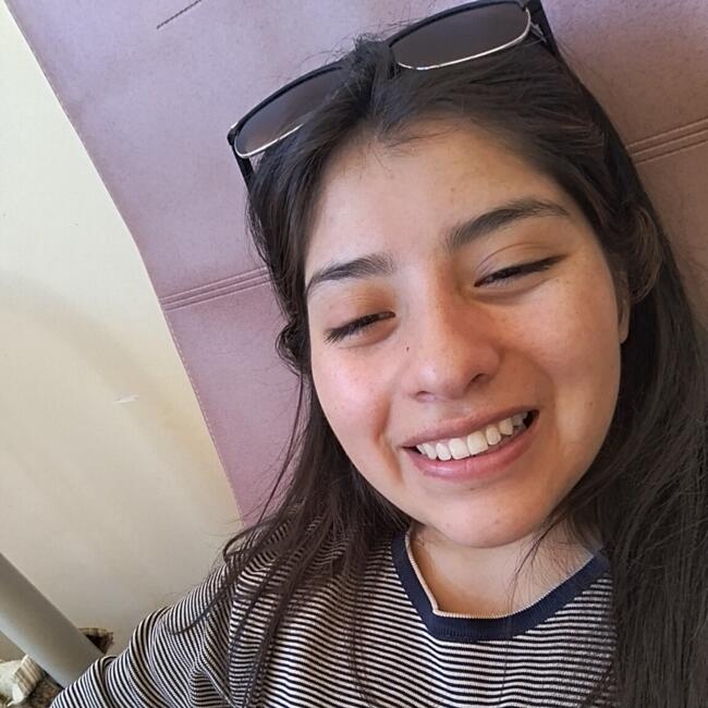 Babysitter in La Paz: Nork