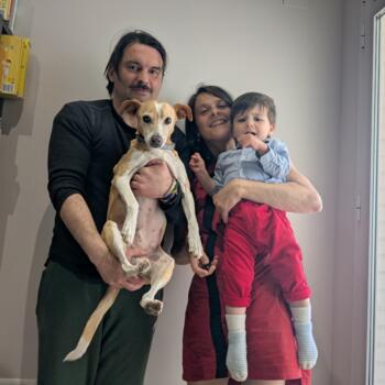 Parent Paterna: Riccardo