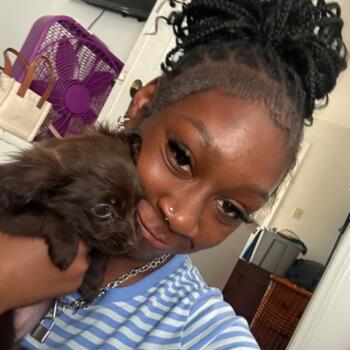 Babysitter in St Louis: Jordyn