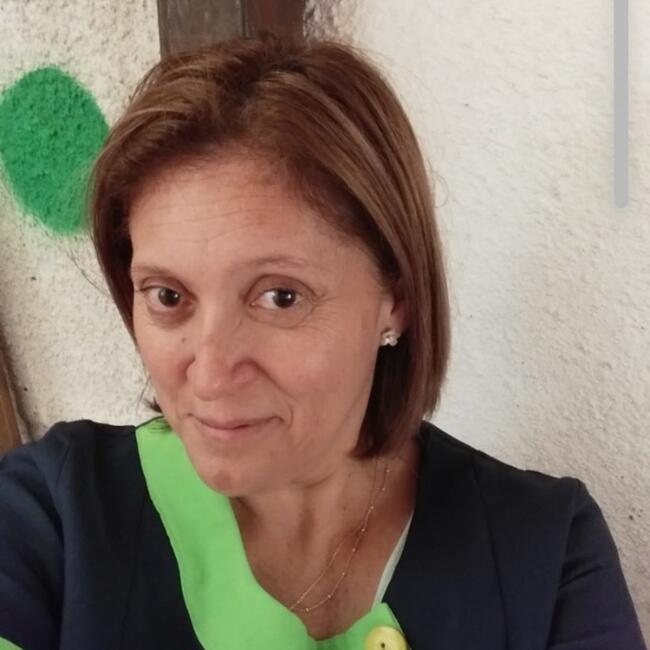 Babysitter in Santiago: Carmen Gloria