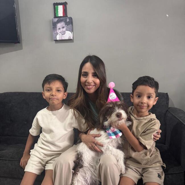 Babysitting job in Zapopan: Larissa