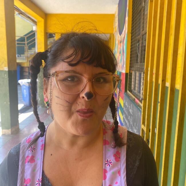 Babysitter in Santiago: Patricia Andrea