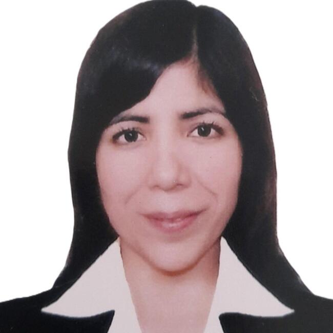 Babysitting job in Lima: Diana