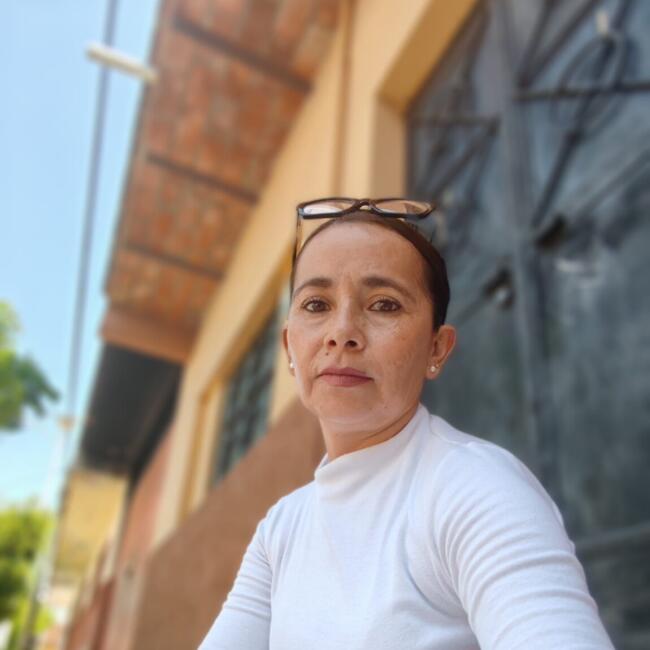 Babysitter in Ciudad de Villa de Álvarez: Alma Azucena