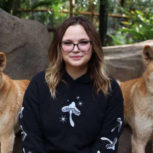 Babysitter in Rockhampton: Carisa