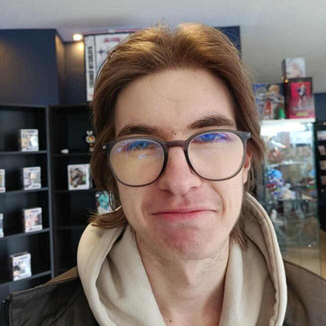 Babysitter in Tournai: Henri