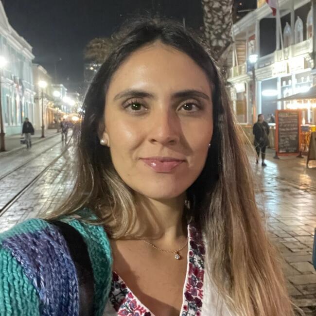 Babysitting job in Antofagasta: Sanndy