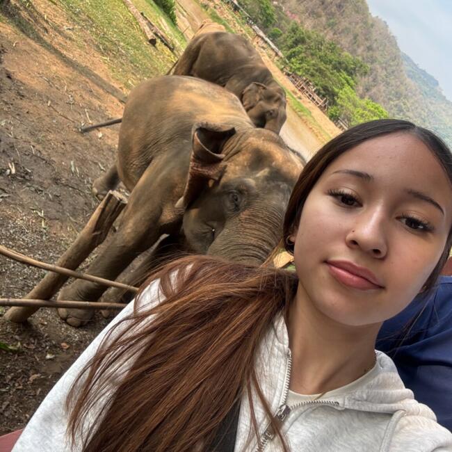 Babysitter in Melbourne: Teya