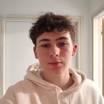 Babysitter in Marcilly-en-Villette: Valentin