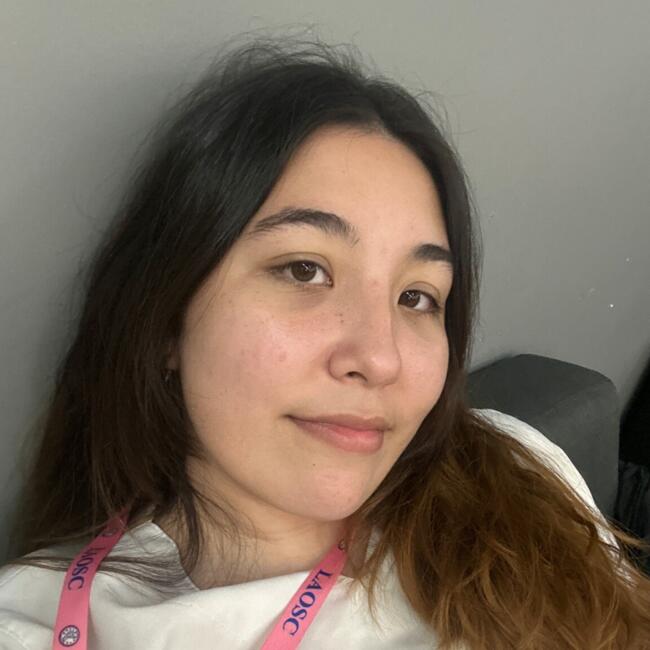 Babá em Manaus: Ane