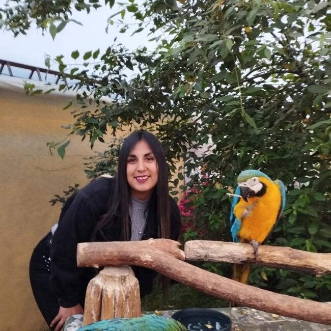 Babysitter in Hualpén: Daniela