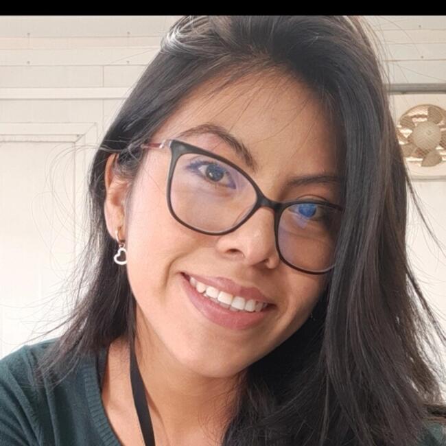 Niñera en Arequipa: Cinthya