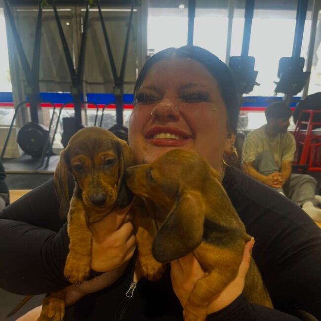 Babysitter in Whitby: Alex