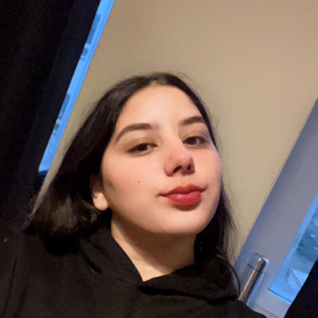 Babysitter in Berlin: Navdeep
