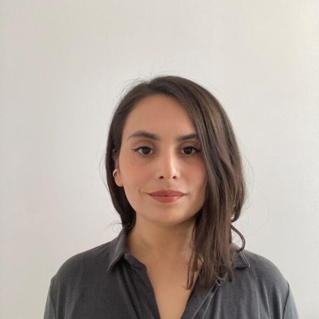 Babysitter in Santiago: Paula