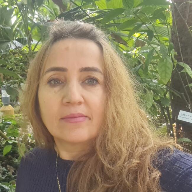 Nanny (νταντά) στην περιοχή Ζυρίχη: Narmin