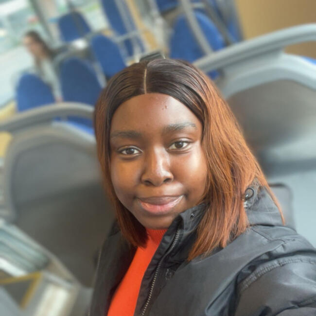 Babysitter in Gothenburg: Blossom