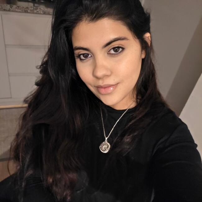 Babysitting job in Lages: Vivian