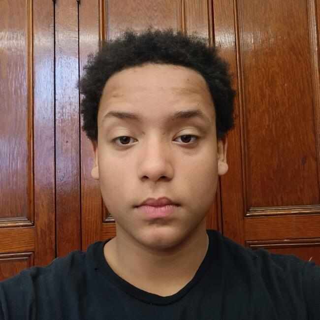 Babysitter in Richmond: Reuel
