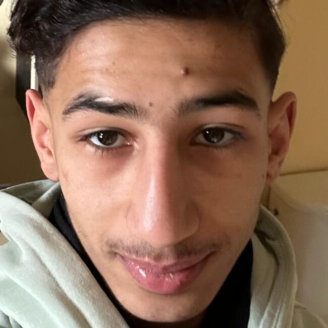 Babysitter in Trélazé: Ismael