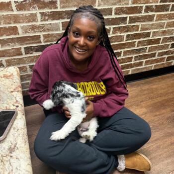 Babysitter in Hillsborough: Autt'um