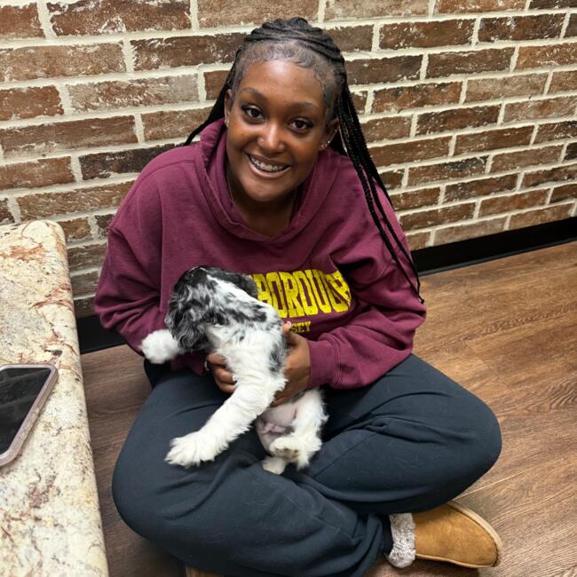 Babysitter in Hillsborough: Autt'um