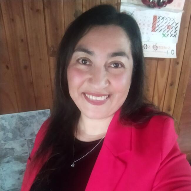 Babysitter in Port Montt: Sara