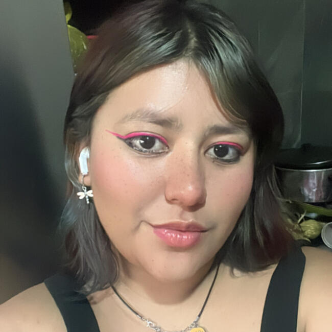 Babysitter in Ramos Arizpe: Nayelly