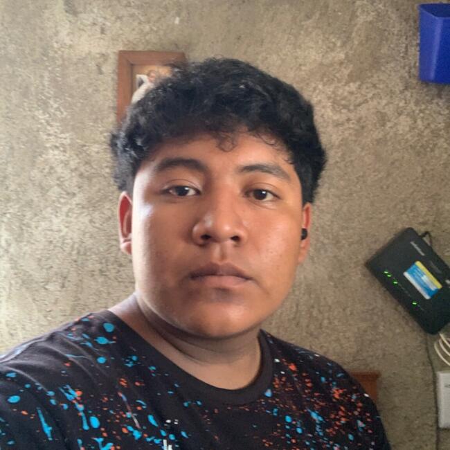 Niñera en Chablekal: Mario