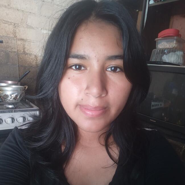 Babysitter in Chimbote: Luisa fernanda