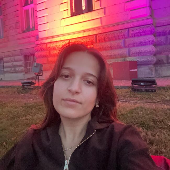 Babysitter in Târgu Mureş: Diana