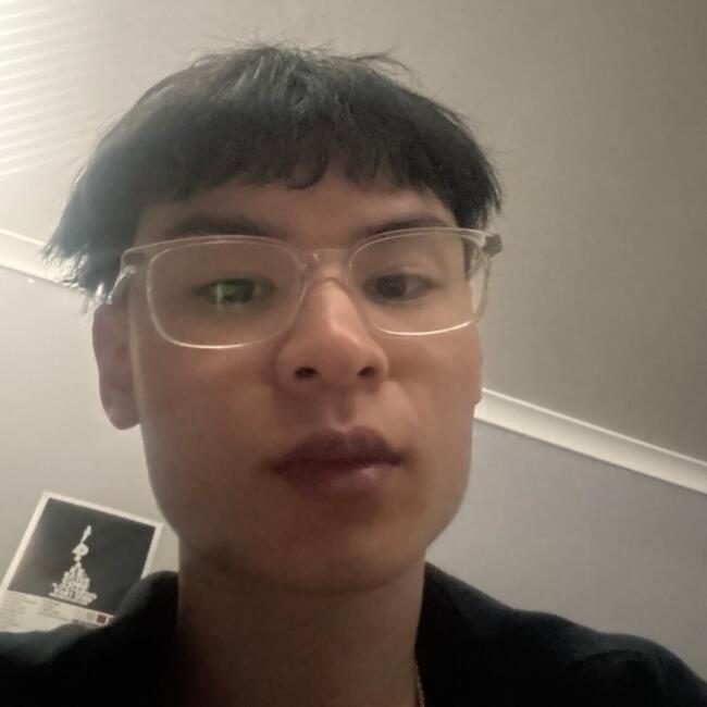 Babysitter in Canberra: Ethan