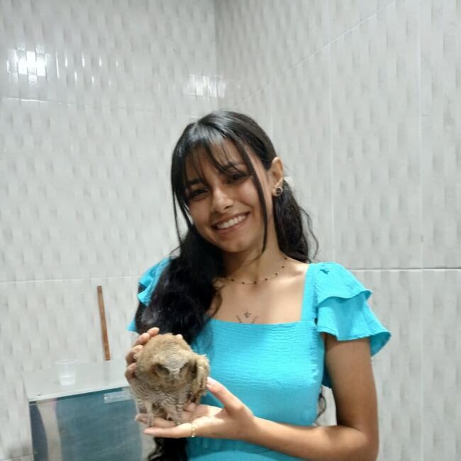 Babysitter in Ji Paraná: Melry