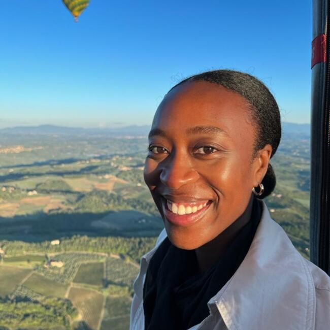 Babysitting job in Dublin: Dara