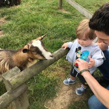 Babysitter Gloucester: Dene