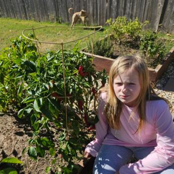 Babysitter in Clearfield (Utah): Ava