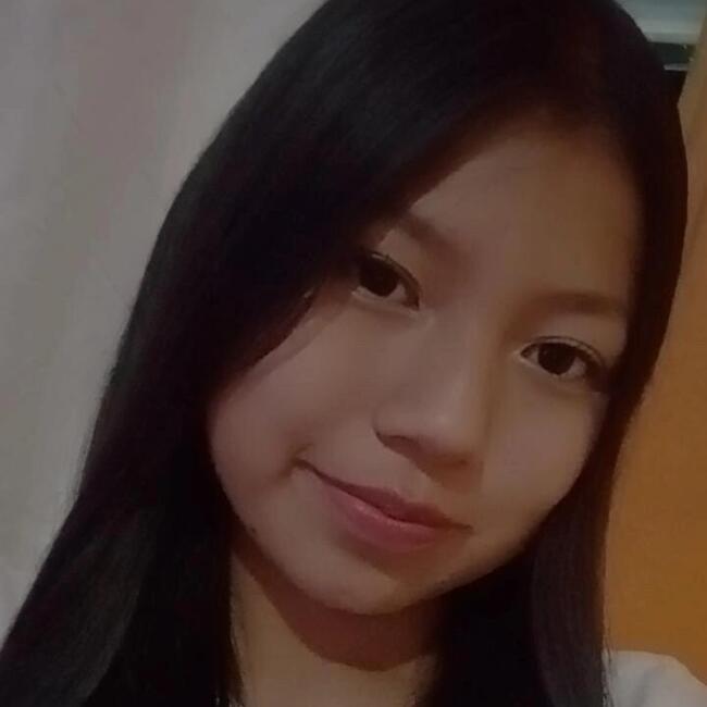 Babysitter in Calama: Wanderleisy Roca