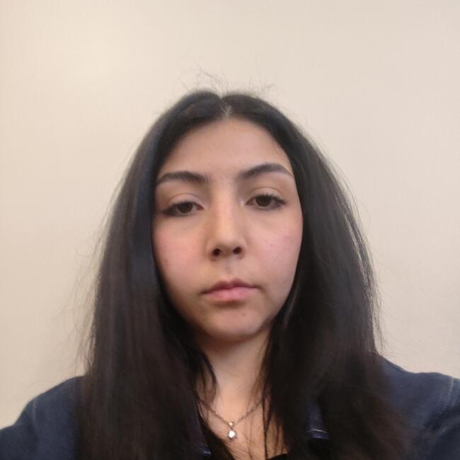 Niñera en Chillán: Isabel Arias