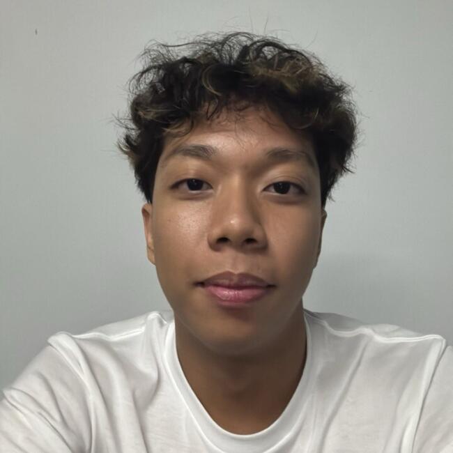 位于Singapore Island的临时保姆: Amil