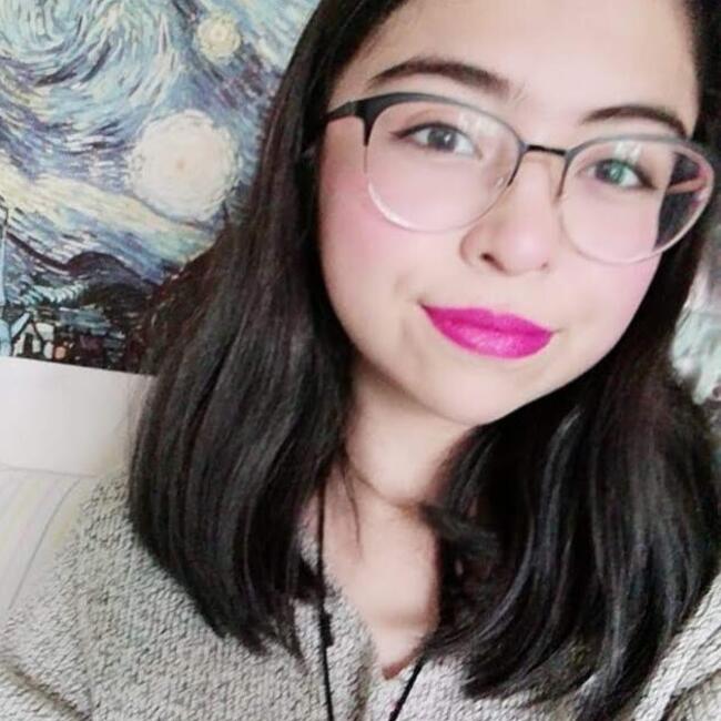 Babysitter in Saltillo: Briseidy