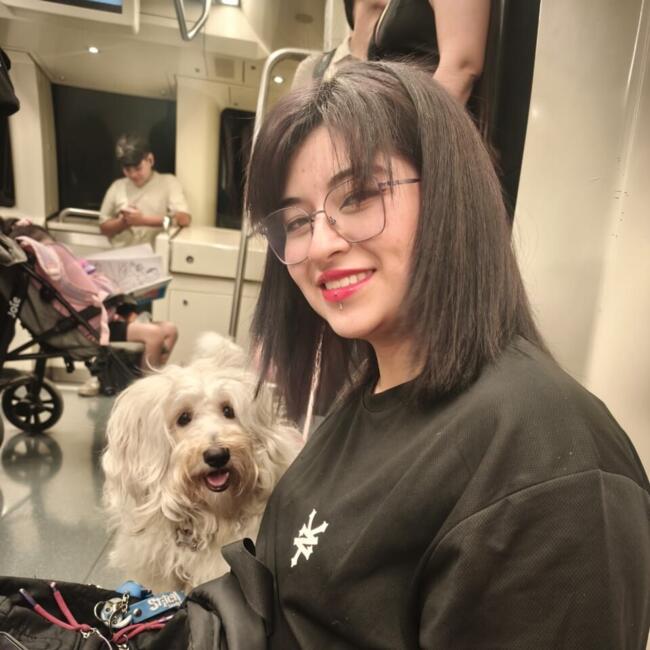 Babysitter in Santiago: Anly